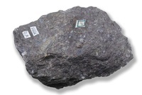 M 02895
<br/>
<br/>
<em></em>